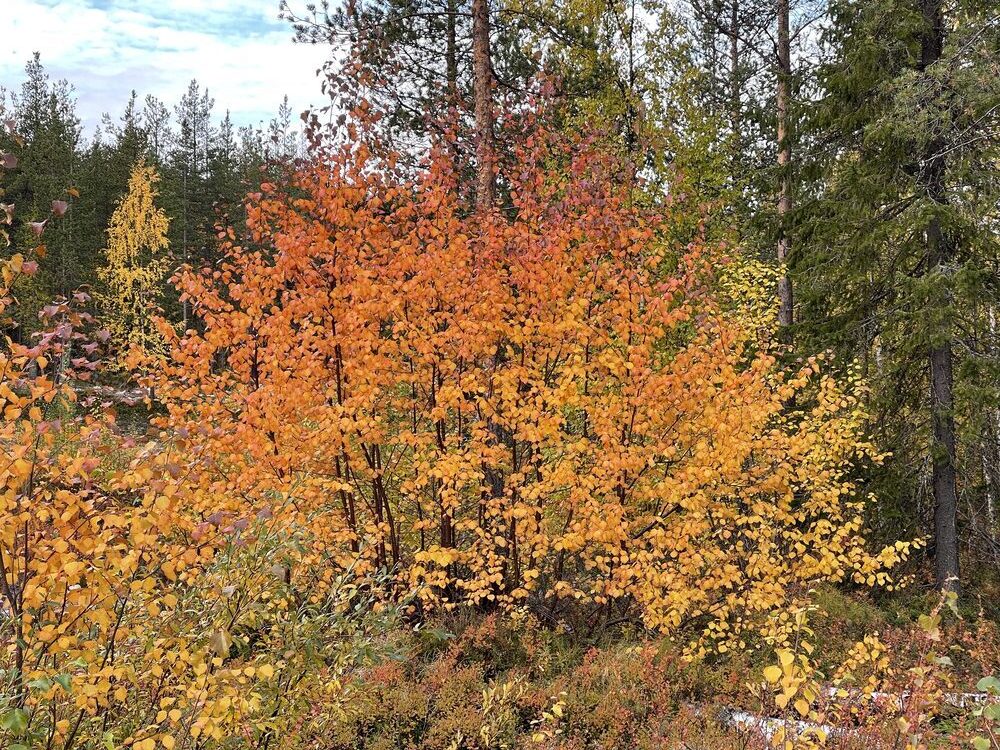 Hösten är ändå den bästa årstiden!